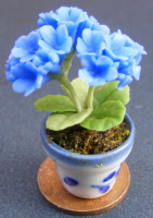 dolls-house-miniature flowers geranium p blue