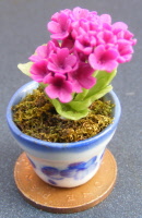 dolls-house-miniature flowers geranium p purple