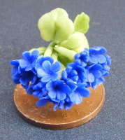 dolls-house-miniature flowers geranium s blue