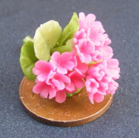 dolls-house-miniature flowers geranium s pink
