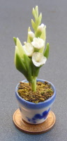 dolls-house-miniature flowers gladioli p white