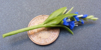 dolls-house-miniature flowers gladioli s blue