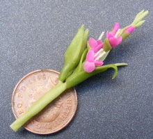 dolls-house-miniature flowers gladioli s purple