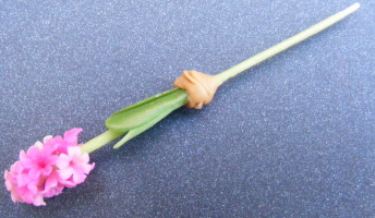 dolls-house-miniature flowers hyacinth pink