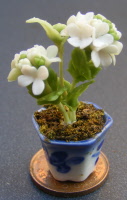 dolls-house-miniature flowers hydrangea p white