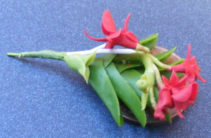 dolls-house-miniature flowers le nez point orchid 6 s