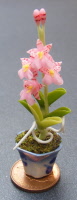 dolls-house-miniature flowers madam panny orchid 4 p
