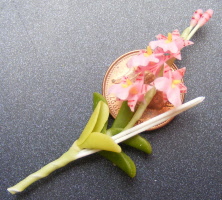 dolls-house-miniature flowers madam panny orchid 4 s