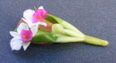 dolls-house-miniature flowers pink & white orchid 19s