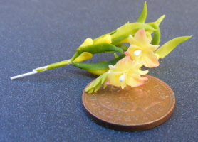 dolls-house-miniature flowers yellow chrysotoxum orchid 15
