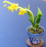 dolls-house-miniature plant 27-p