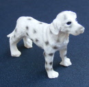 dolls-house-miniature-1-a-1-aa-dalmation