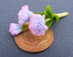 dolls-house-miniature-1-a-1-aaa-carnation-pink&purple