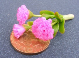 dolls-house-miniature-1-a-1-aaa-carnation-pink