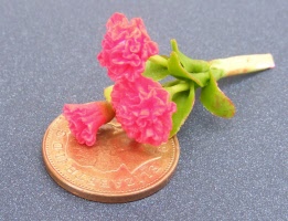 dolls-house-miniature-1-a-1-aaa-carnation-red