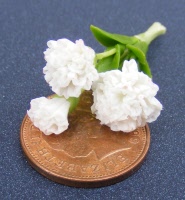 dolls-house-miniature-1-a-1-aaa-carnation-white