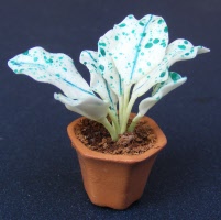 dolls-house-miniature-1-a-1-aaa-plant 10p