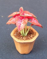 dolls-house-miniature-1-a-1-aaa-plant 11p
