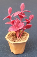 dolls-house-miniature-1-a-1-aaa-plant 14p