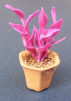 dolls-house-miniature-1-a-1-aaa-plant 9p