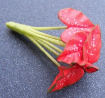 dolls-house-miniature-1-a-1-aaa-plant-11