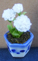 dolls-house-miniature-1-a-carnation-white