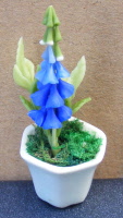 dolls-house-miniature-1-a-foxglove-blue-in-a-white-pot