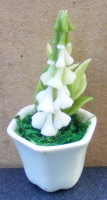 dolls-house-miniature-1-a-foxglove-white-in-a-white-pot