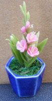 dolls-house-miniature-1-a-gladioli-pink-dbp