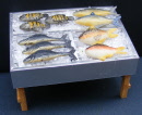 dolls-house-miniature-1-aaa-fish-counter