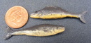 dolls-house-miniature-1-aaa-fish-frigate-mackeral