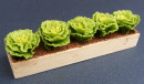 dolls-house-miniature-1-aaa-lettuce-strip