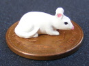dolls-house-miniature-1-aaaa-accessories-mouse-ka