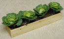 dolls-house-miniature-1-cabbages