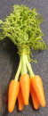 dolls-house-miniature-1-carrot-bunch