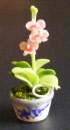 dolls-house-miniature-1-orchid-12
