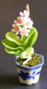 dolls-house-miniature-1-orchid-4