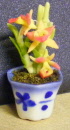 orchid orange