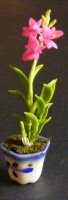 dolls-house-miniature-1-orchid-tall-pink