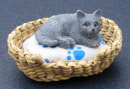 dolls-house-miniature-a-grey-cat 1