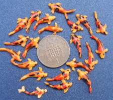dolls-house-miniature-koi-carp-b
