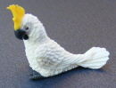 dolls-house-miniature-large-cockatoo-c1