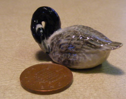 duck 13