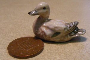 duck 14