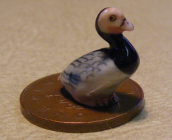 duck 5
