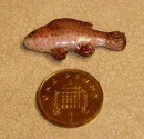 fish a