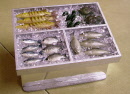 fish counter b 1