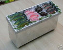 fish counter c 2