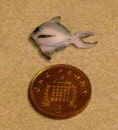 fish d