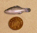 fish f